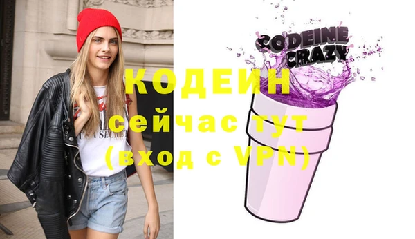 индика Новый Уренгой