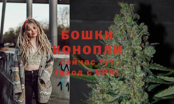 эйфоретик Вяземский
