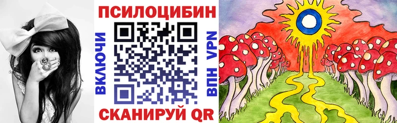 KRAKEN ссылка  купить   Зима  Галлюциногенные грибы Cubensis 